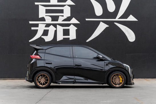 BYD SEAGULL-001-FF FK75S