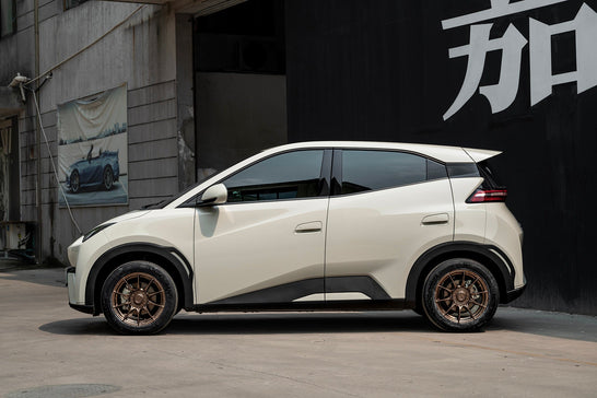 BYD SEAGULL-001-FF FK75S