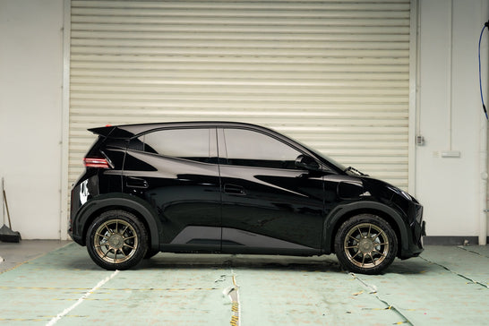 BYD SEAGULL-001-FF FK75S