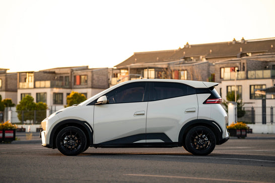 BYD SEAGULL-001-FF FK75S
