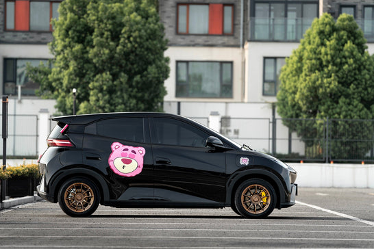 BYD SEAGULL-001-FF FK75S