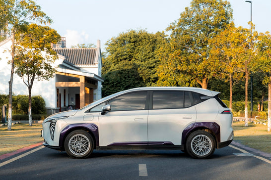 GAC AION Y-001-MST 718