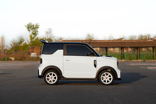 GEOME PANDA MINI-001-FF MR7S