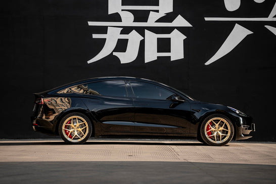 TESLA MODEL3-001-FG FK07