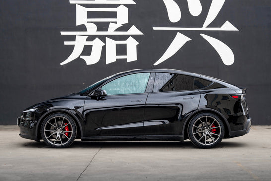 TESLA MODELY-001-FG FR9
