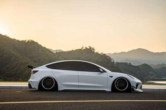 TESLA MODEL 3-001-GOT 201