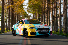 AUDI TT-002-FF 011