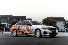 BMW 3-SERIES-002-MST CK70