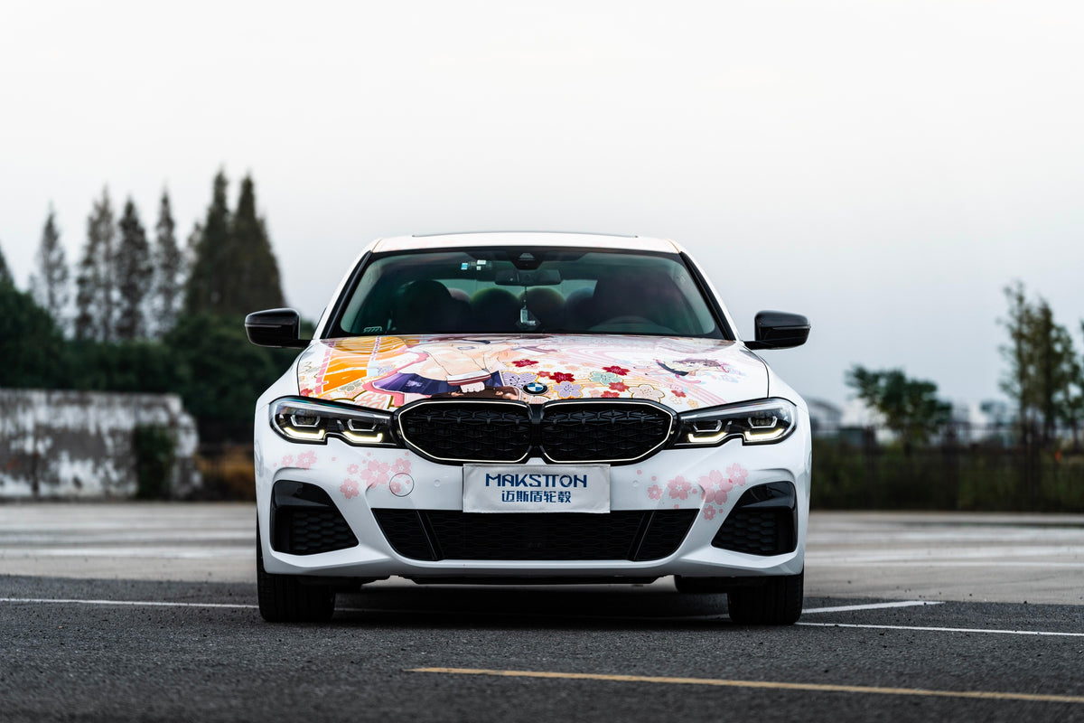 BMW 3-SERIES-004-MST CK70