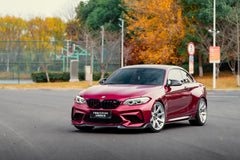 BMW M2-002-FG MR8