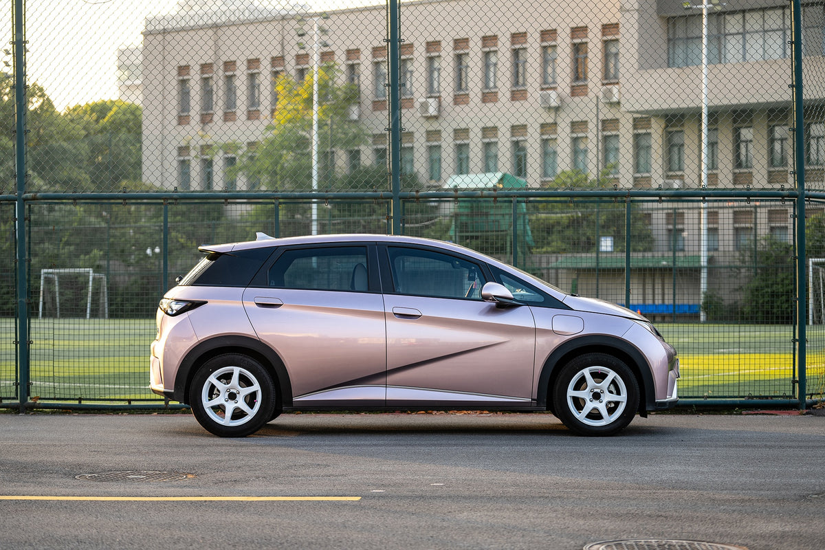 BYD DOLPHIN-001-FF MR6S