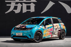BYD DOLPHIN-002-FF FK75S