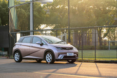 BYD DOLPHIN-003-FF MR6S