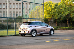 BYD DOLPHIN-005-FF MR6S