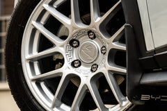 BYD DOLPHIN-006-MST CK70