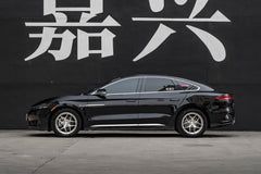 BYD HAN DMI-001-FG FK07