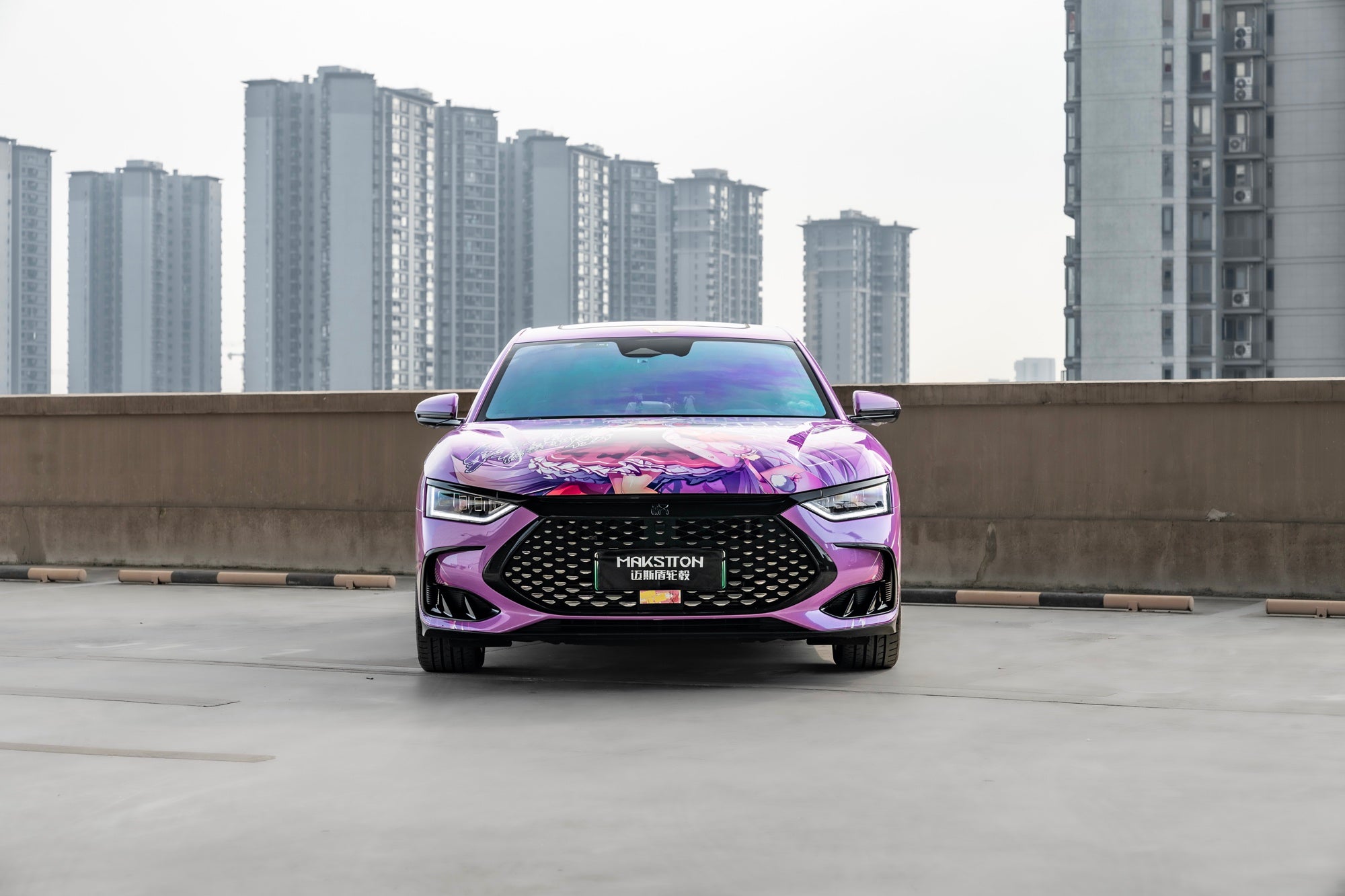BYD HAN DMI-004-FF FK07