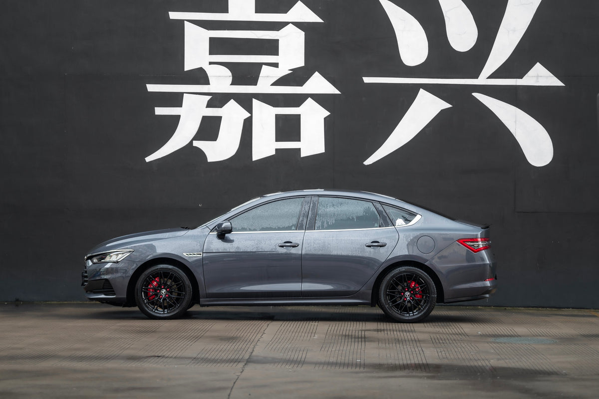 BYD QIN PRO-001-MST 715