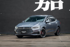 BYD QIN PRO-002-MST 715