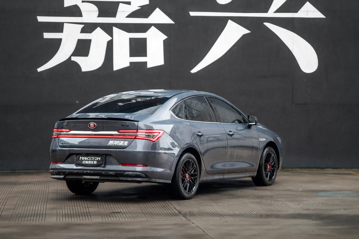 BYD QIN PRO-003-MST 715