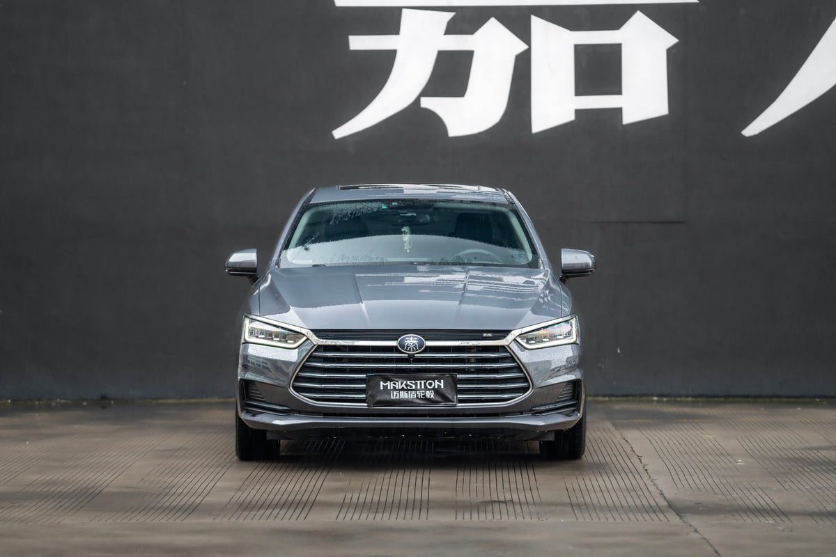 BYD QIN PRO-004-MST 715