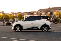 BYD SEAGULL-001-FF FK75S