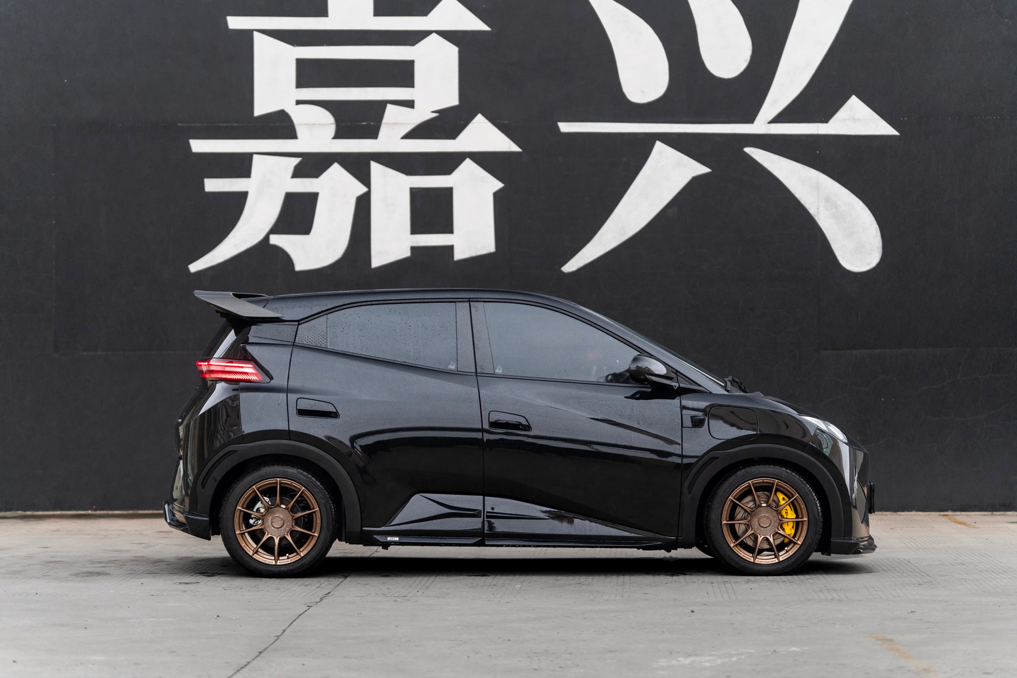 BYD SEAGULL-001-FF FK75S