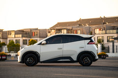 BYD SEAGULL-001-FF FK75S