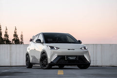 BYD SEAGULL-001-FF FK75S