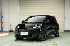 BYD SEAGULL-002-FF FK75S