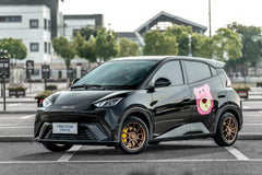 BYD SEAGULL-002-FF FK75S