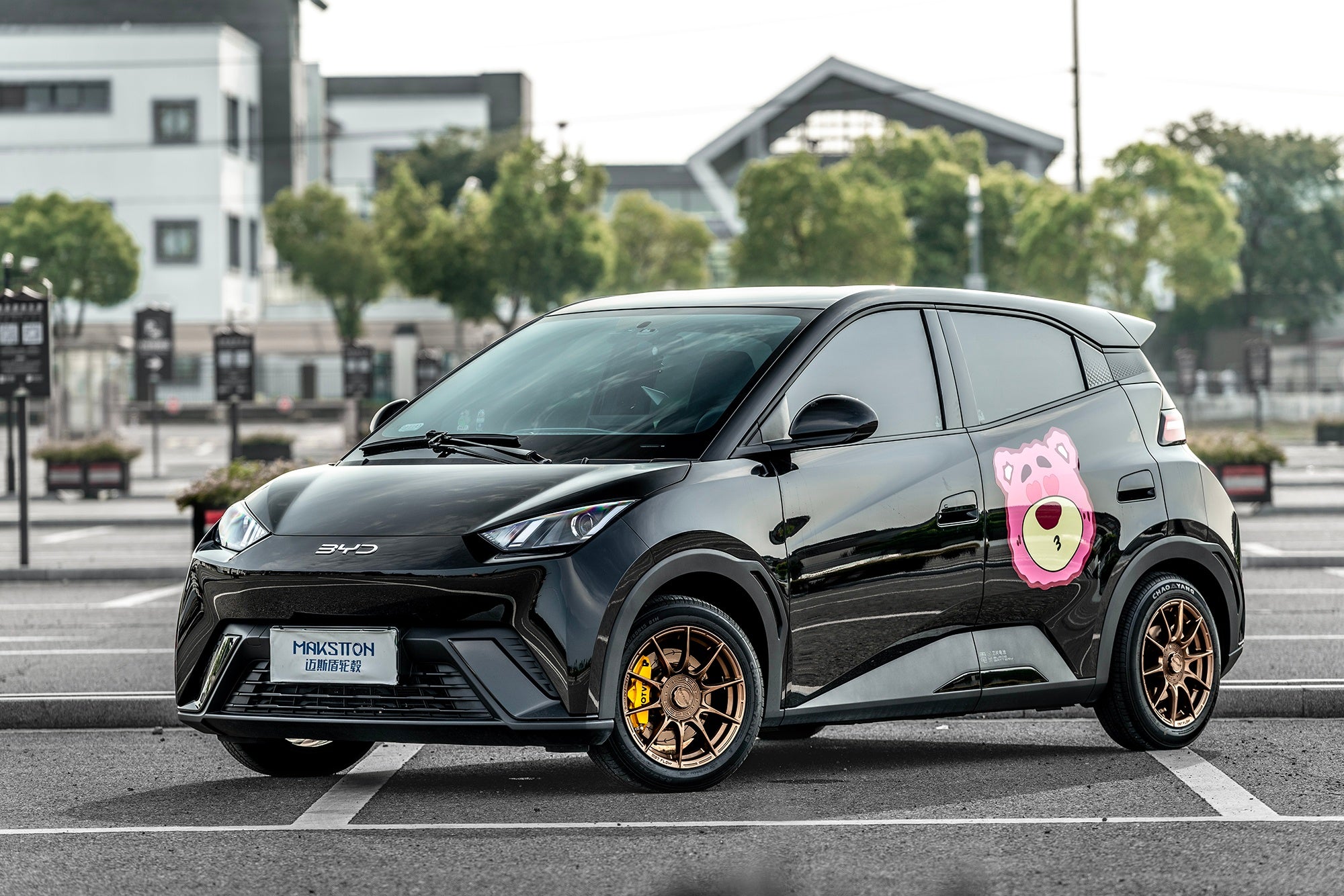 BYD SEAGULL-002-FF FK75S