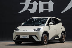 BYD SEAGULL-002-FF FK75S