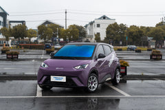 BYD SEAGULL-002-FF MR7S