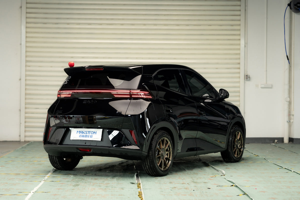BYD SEAGULL-003-FF FK75S