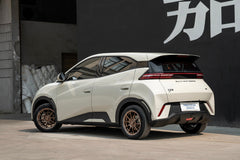 BYD SEAGULL-003-FF FK75S