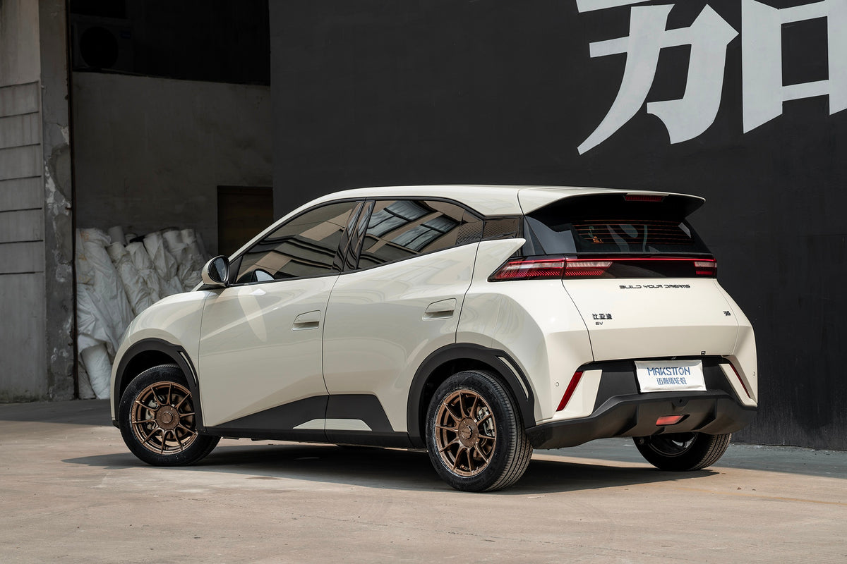 BYD SEAGULL-003-FF FK75S