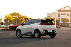 BYD SEAGULL-003-FF FK75S