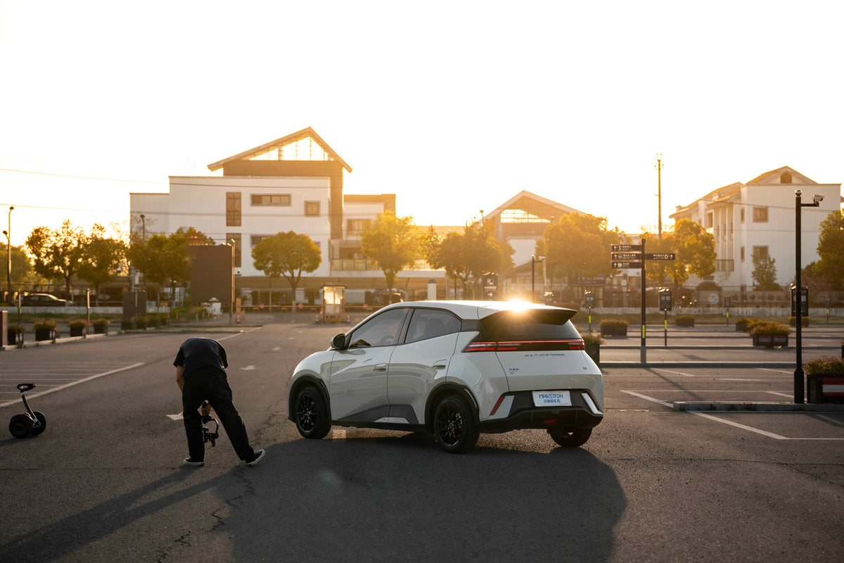 BYD SEAGULL-003-FF FK75S