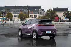 BYD SEAGULL-003-FF MR7S
