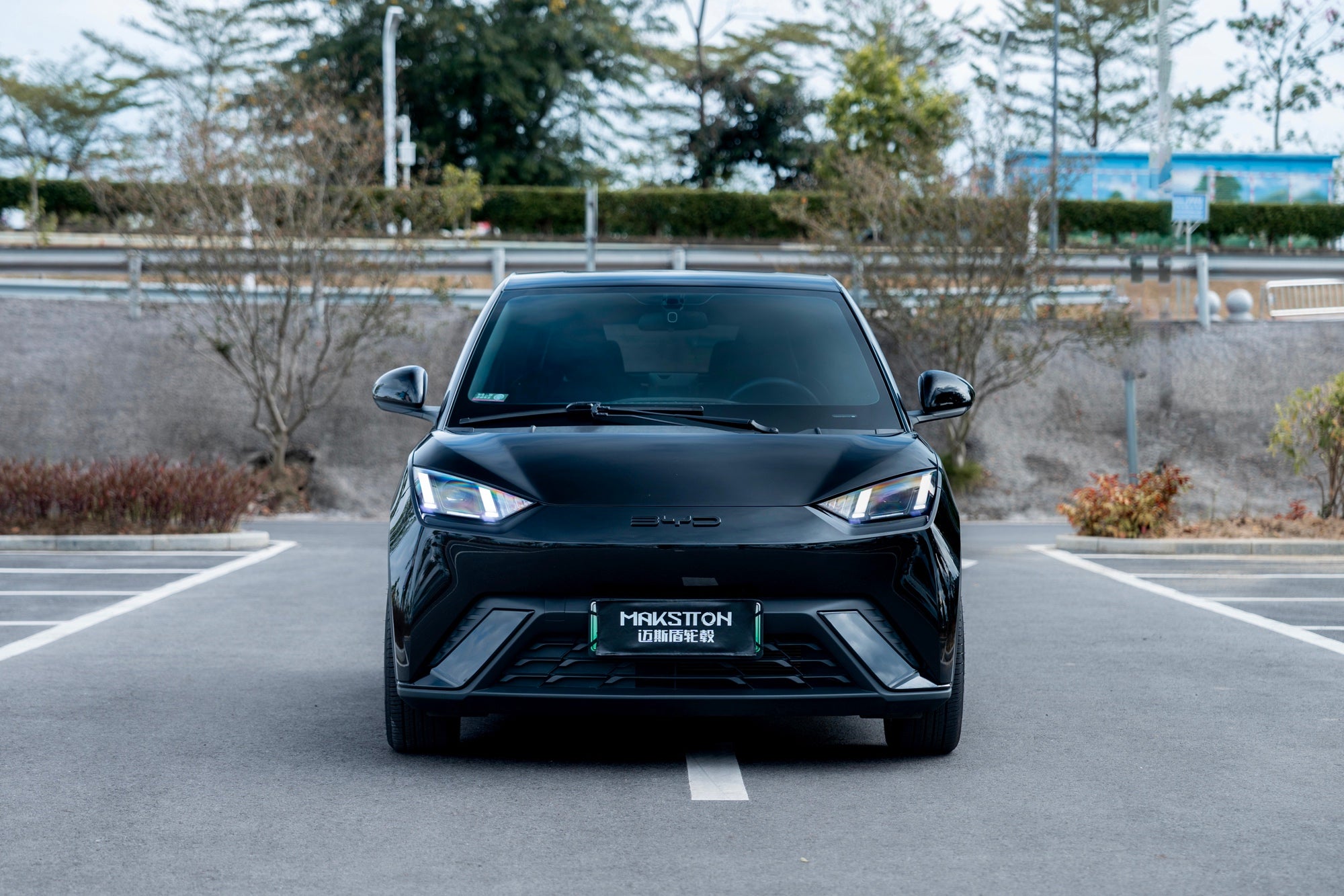 BYD SEAGULL-004-FF FK75S