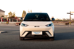 BYD SEAGULL-004-FF FK75S
