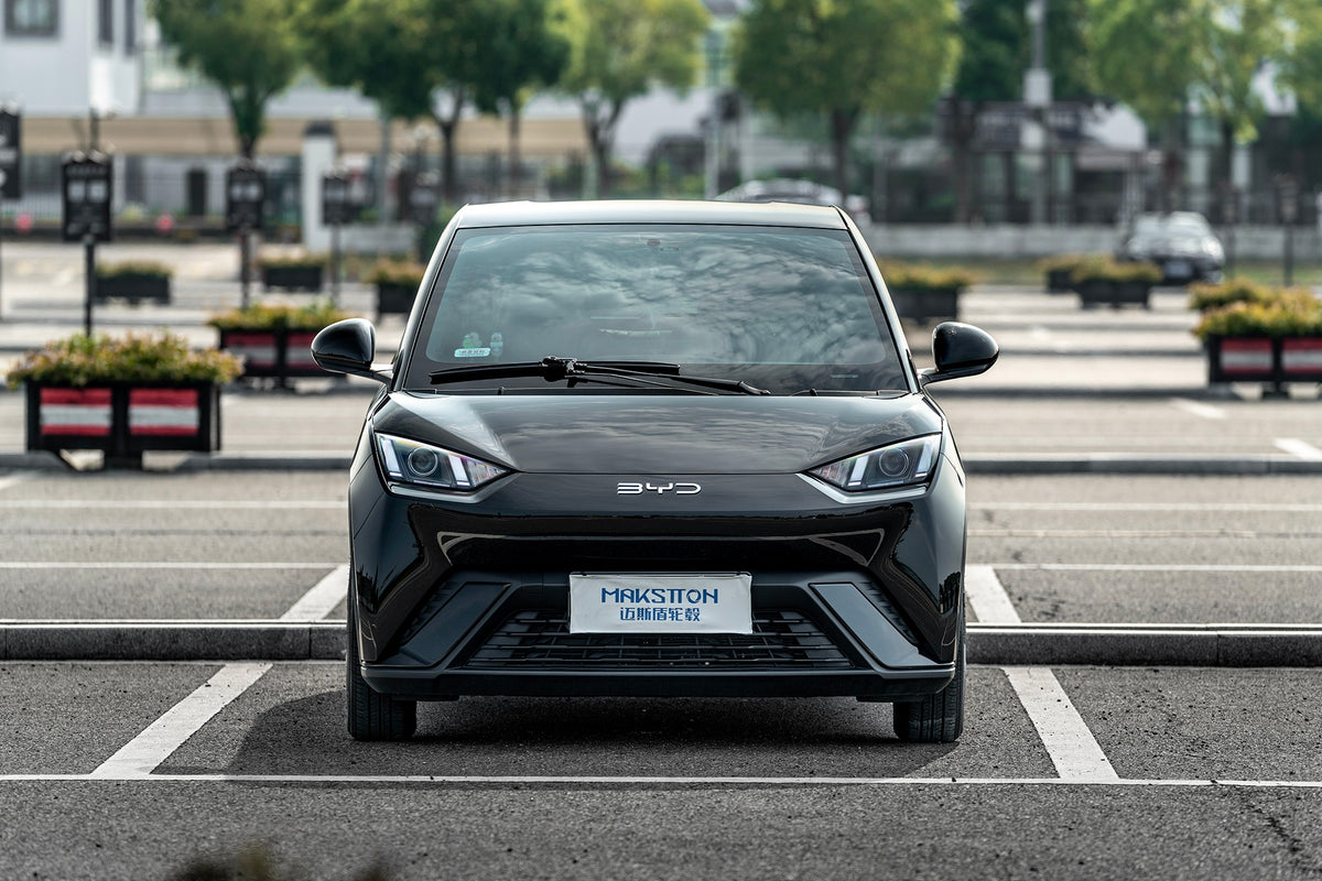 BYD SEAGULL-004-FF FK75S