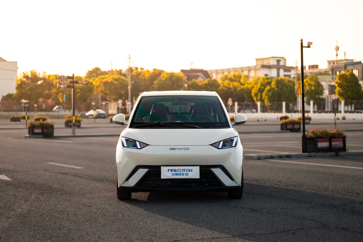 BYD SEAGULL-004-FF FK75S