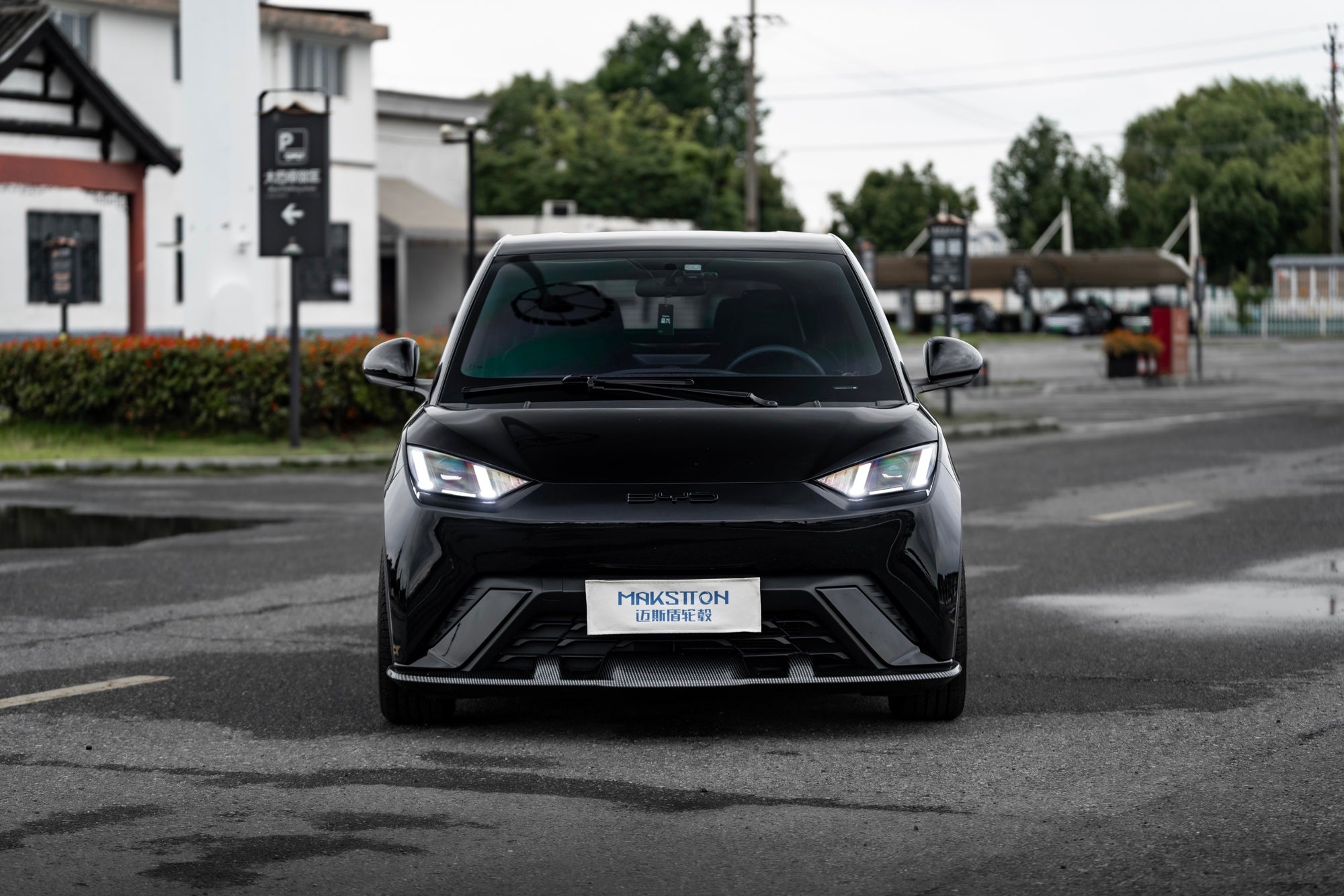 BYD SEAGULL-004-FF FK75S