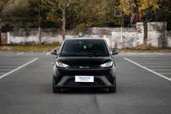 BYD SEAGULL-004-FF MR7S