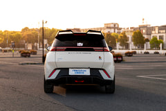 BYD SEAGULL-005-FF FK75S