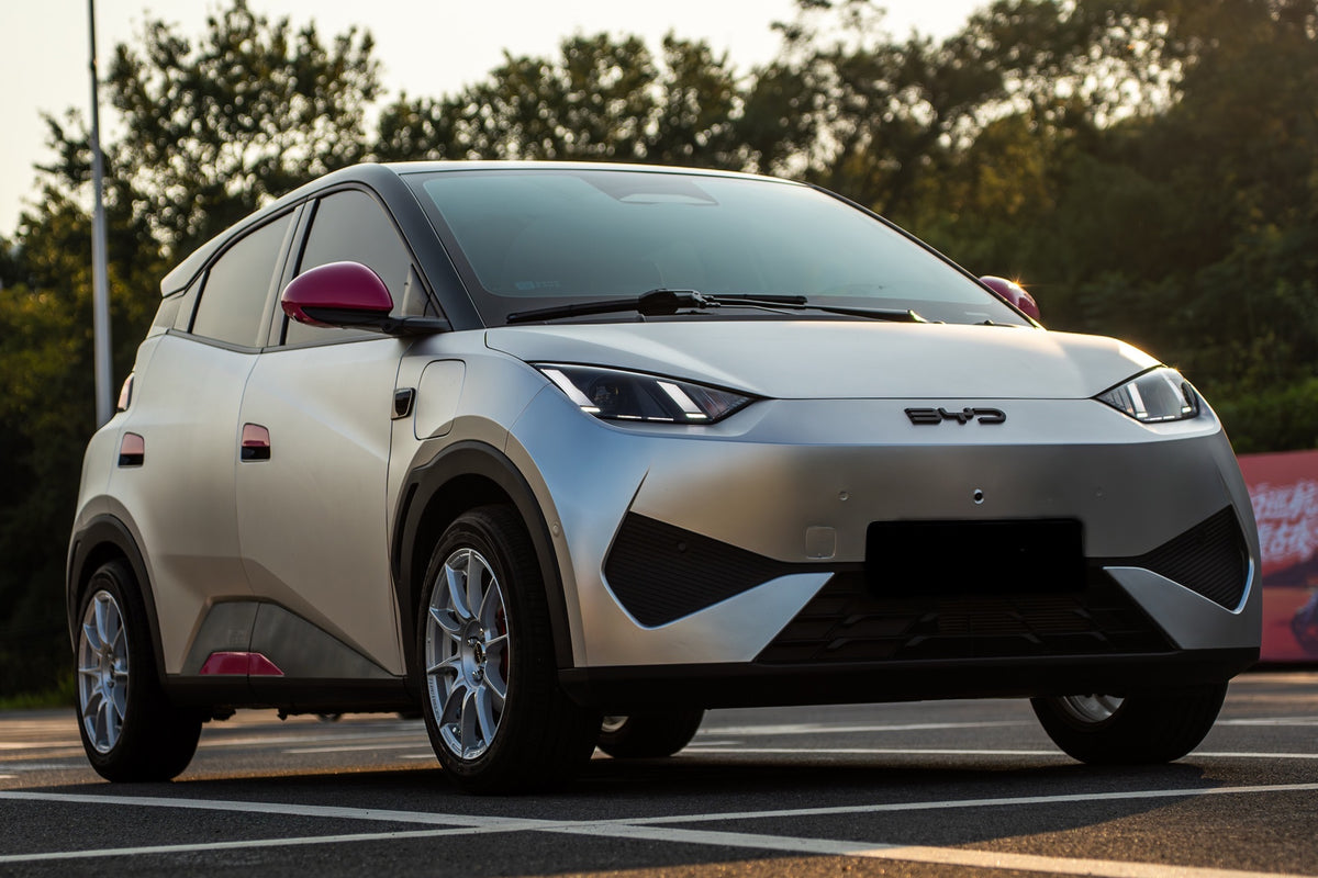 BYD SEAGULL-005-FF FK75S