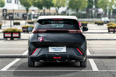 BYD SEAGULL-005-FF FK75S