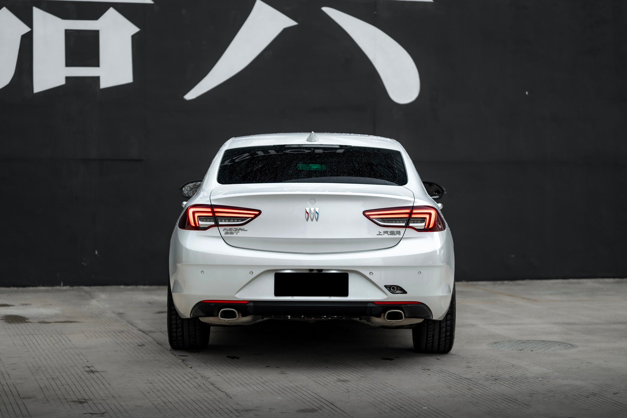BUICK REGAL-005-FF 011